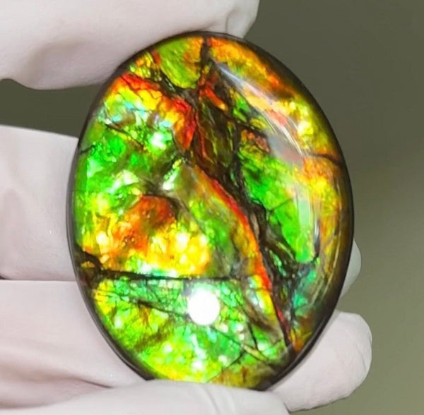 Loose Stone, Ammolite,Freeform,Oval, Cabochon 43x34mm, Loose gemstone  Canadian Ammonite,wrapping jewellery, FC-124