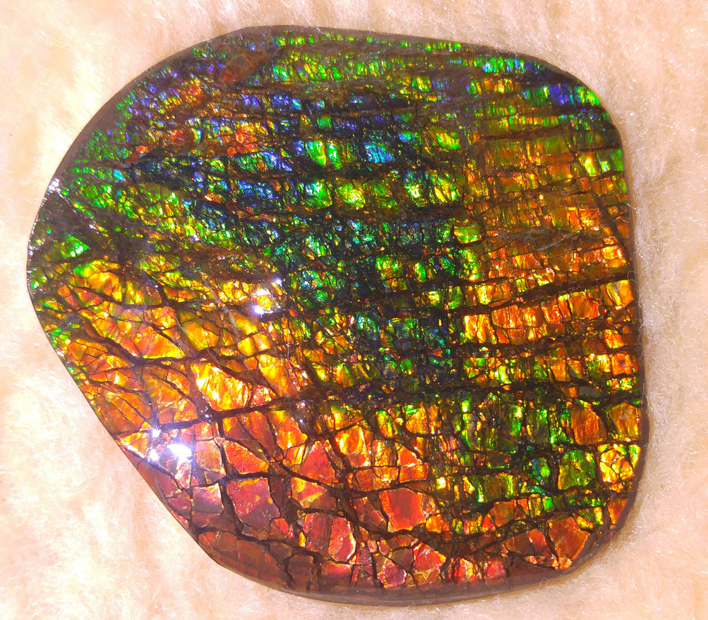 アンモライト 化石 ジオード パワーストーン ammolite クリスタル 安し ペア