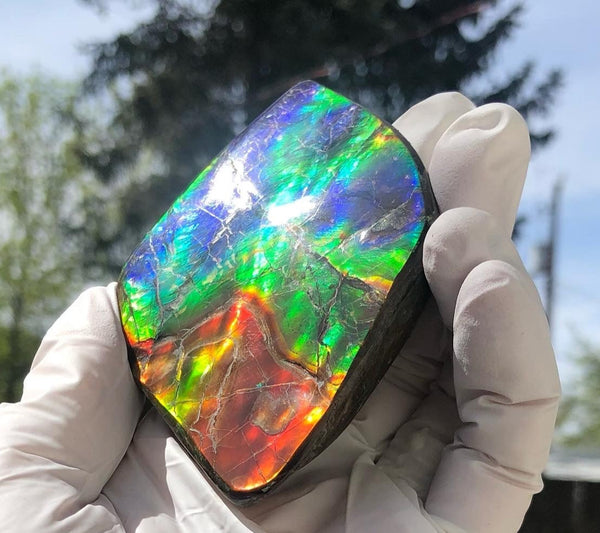 Make an offer or buy it now! 3.15”/ 80x 62mm Top Grade Double-Sided  Handheld Gem Specimen, Natural Freeform. FFNT 180 Ammolite Free Shipping! 