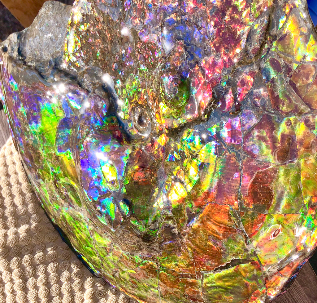 Spectacular Ammonite Fossil - Costatum Double sided 43.1 cm x 38 cm アン -  Ammonite Rainbow アンモナイトレインボー