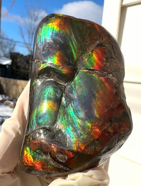 RARE Ammolite Huge Display Stone Hand Specimen 155x95x36mm Rainbow