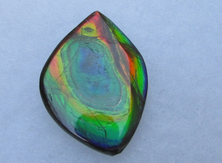 35 x 26 mm Natural Free Form . FFN 332 Ammolite ナチュラル ルース アンモライト - Ammonite  Rainbow アンモナイトレインボー