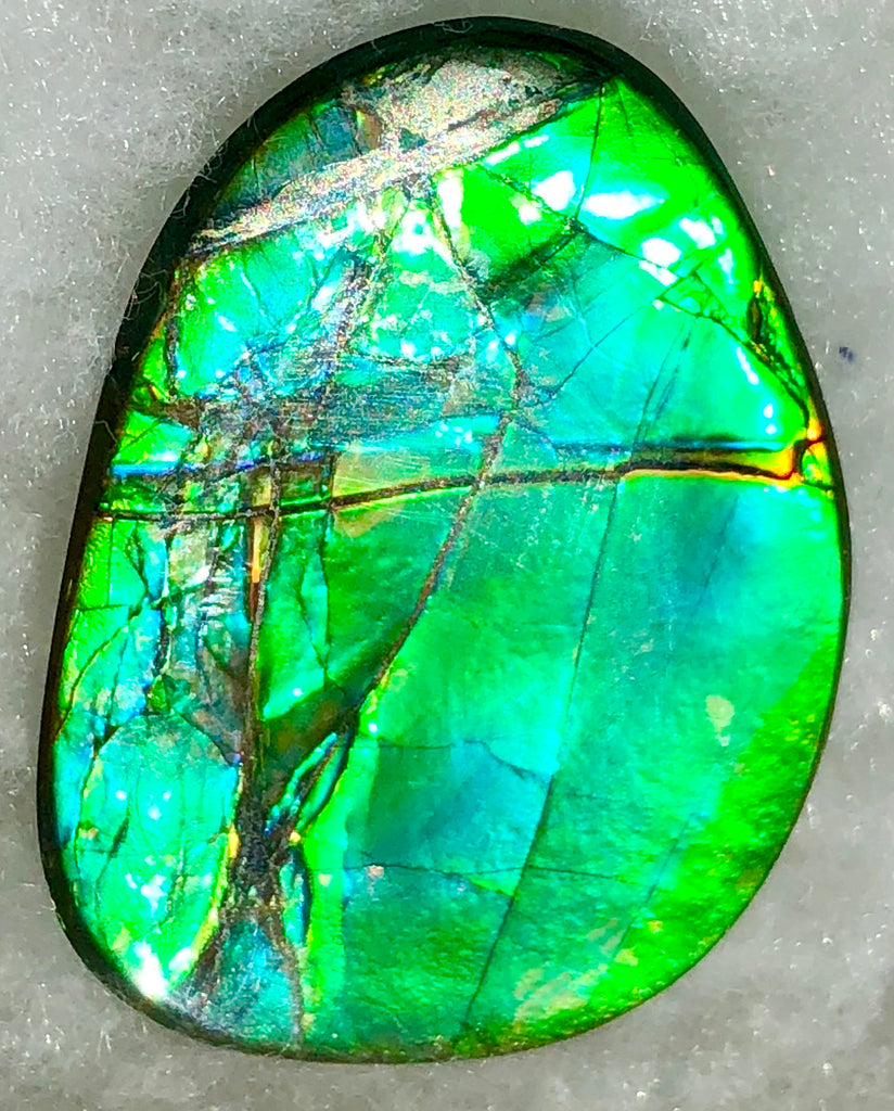 40 x 29 mm - IMP-59 Natural Ammolite Double-Sided Imperial! 両面