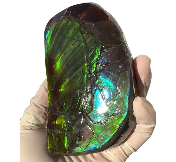 有名なブランド 両面 アンモライトナチュラルストーン Ammolite side